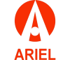 sell my Ariel online